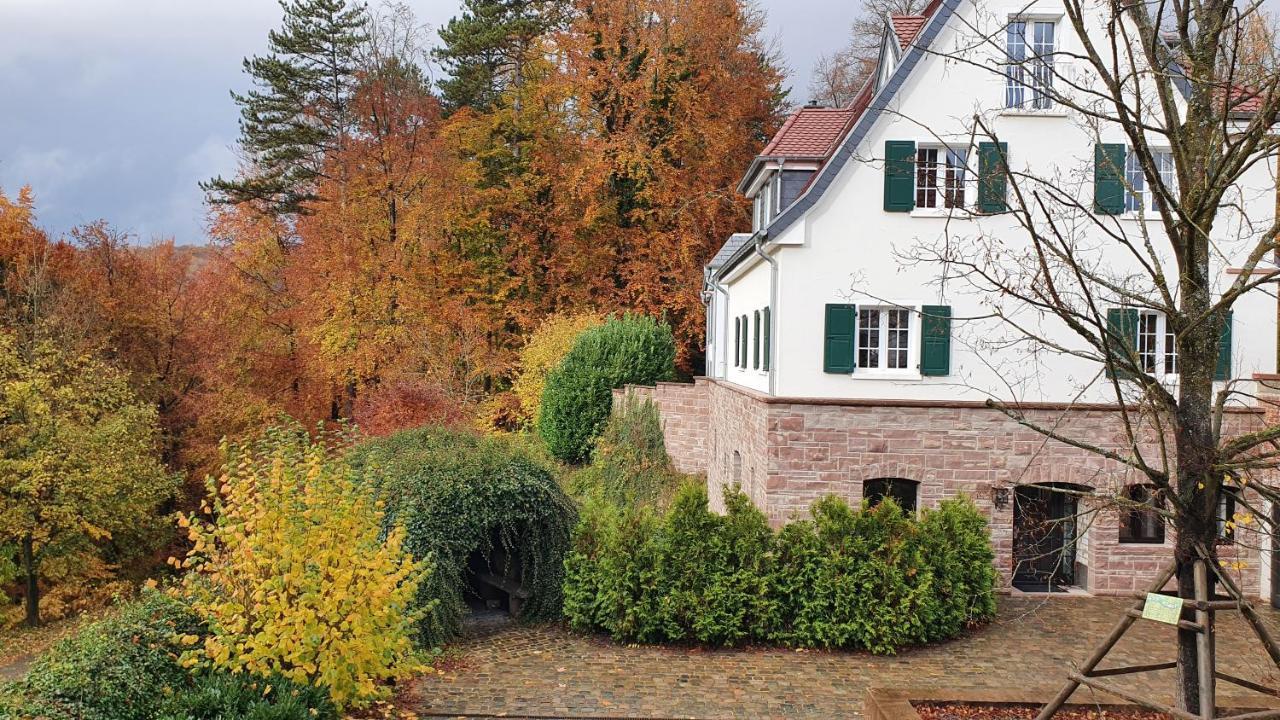 Gut Lindenfels Hotel Blieskastel Exterior photo