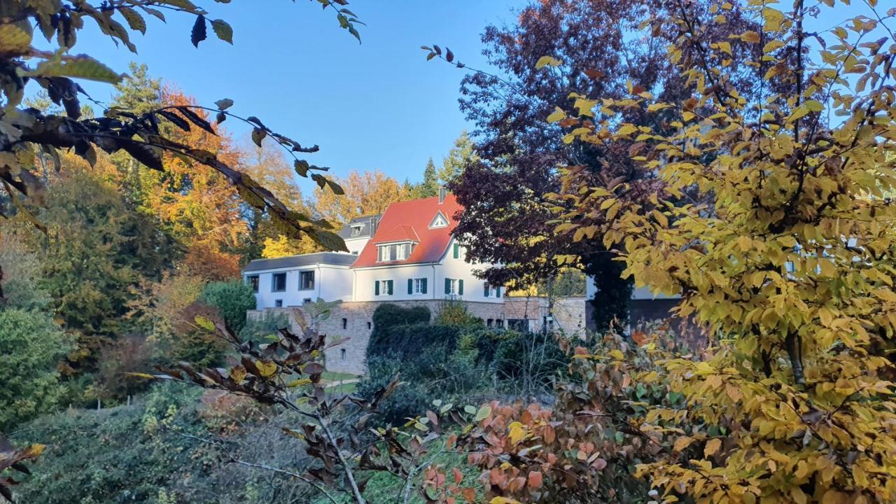 Gut Lindenfels Hotel Blieskastel Exterior photo